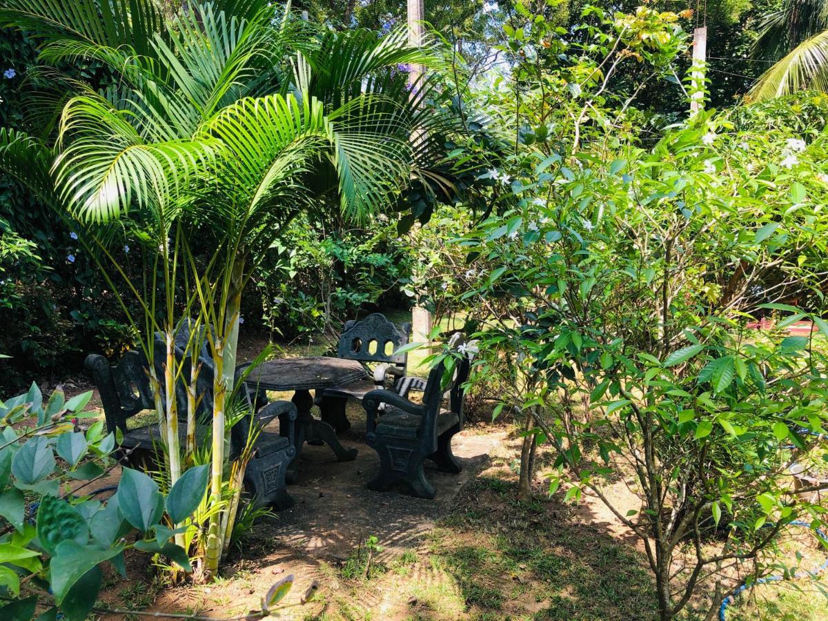 Sigiriya Nature Villa Lodge מראה חיצוני תמונה