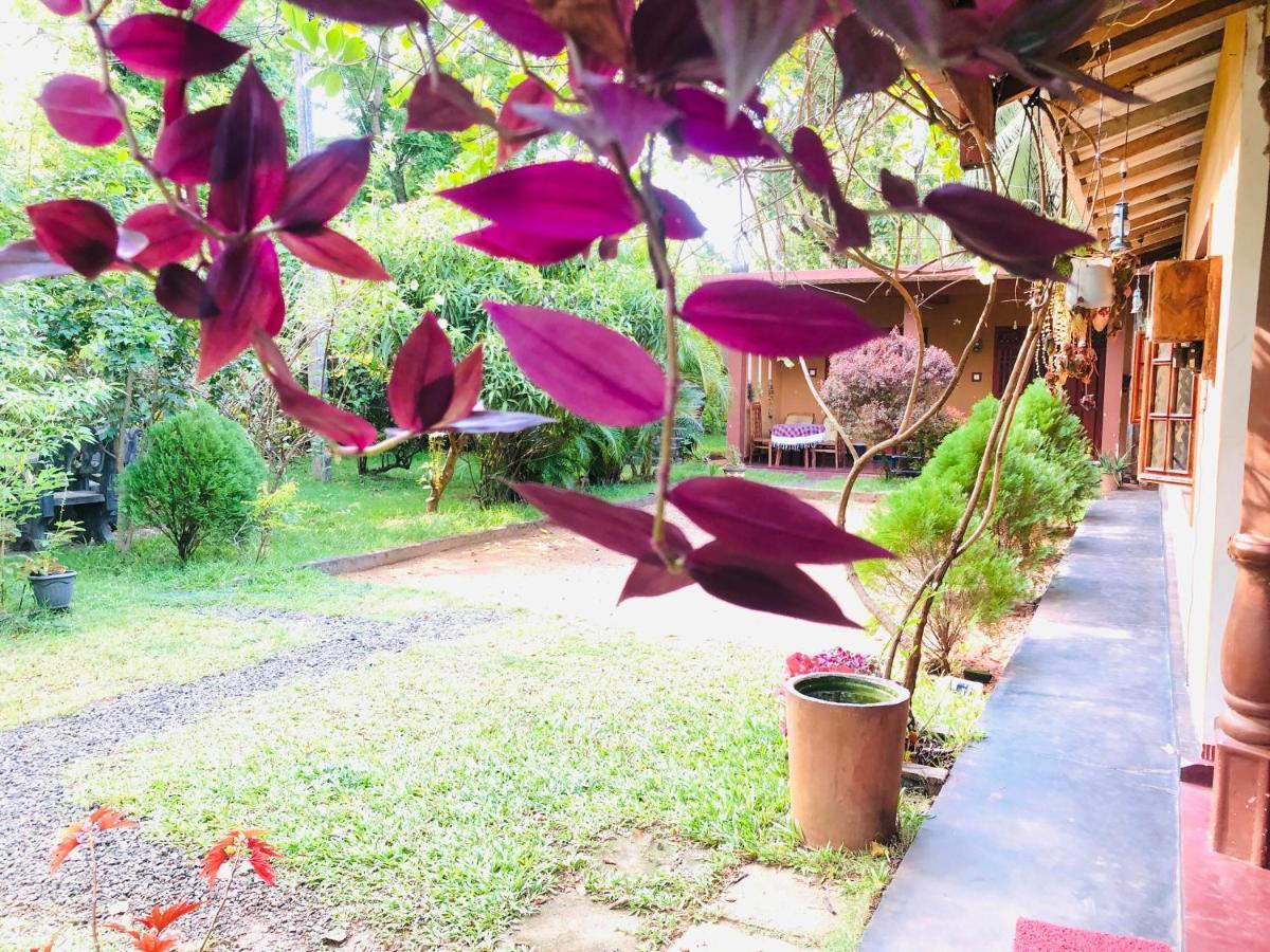 Sigiriya Nature Villa Lodge מראה חיצוני תמונה