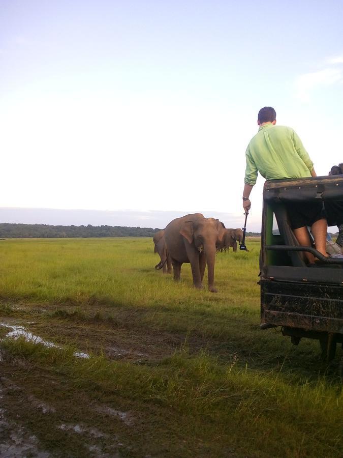Sigiriya Nature Villa Lodge מראה חיצוני תמונה