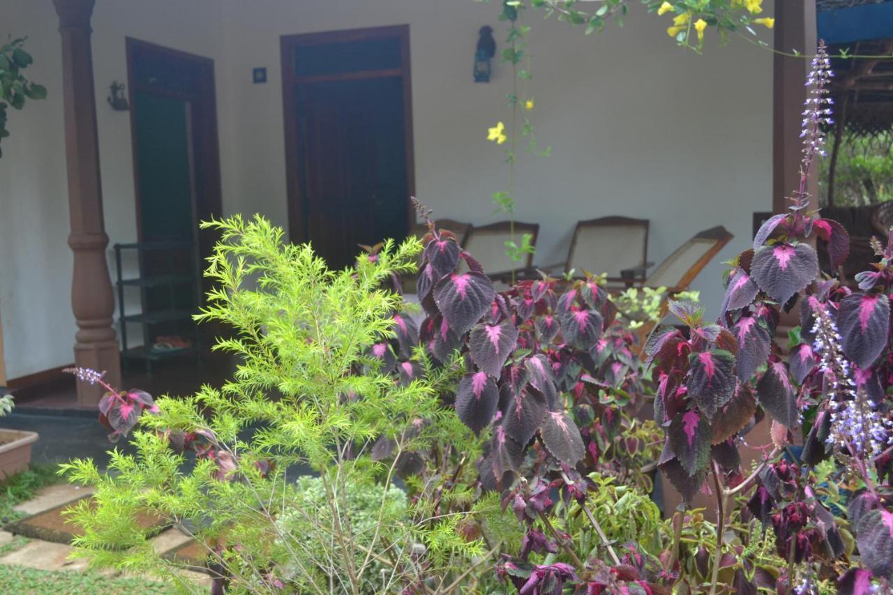 Sigiriya Nature Villa Lodge מראה חיצוני תמונה