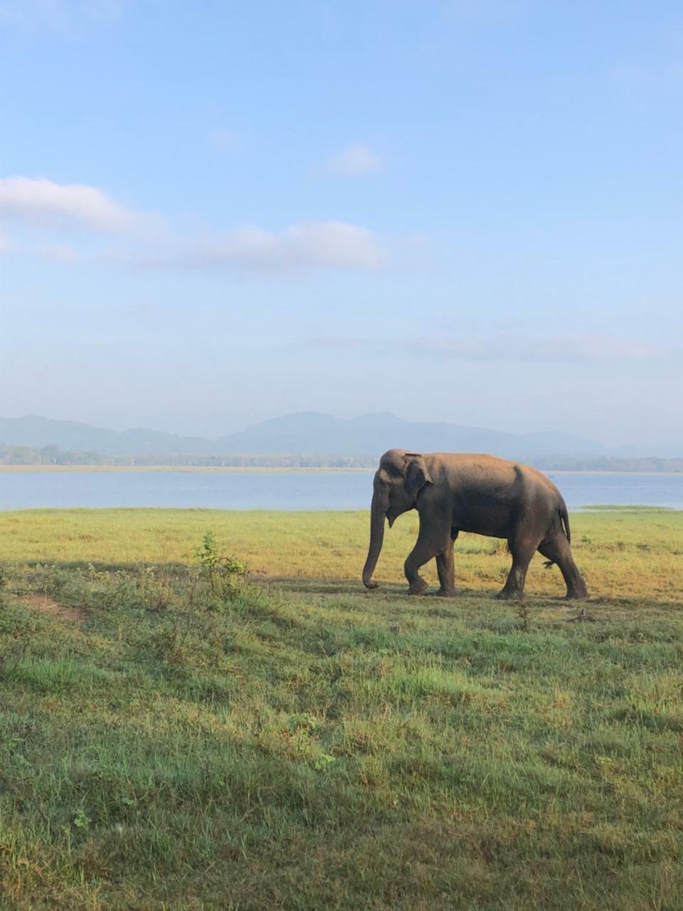 Sigiriya Nature Villa Lodge מראה חיצוני תמונה